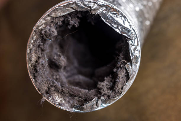 Best Air Duct Cleaning Near Me  in Donalsonville, GA