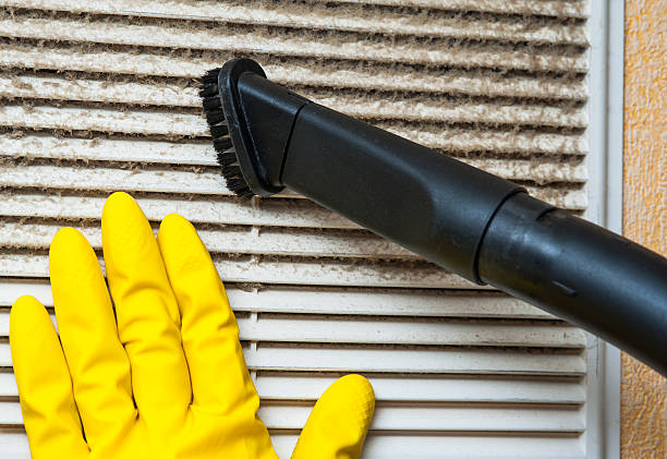 Best Dryer Vent Cleaning Services  in Donalsonville, GA